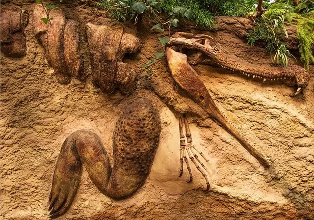 Dinosaurske opdagelser: En dansk forskers jagt på Compsognathus